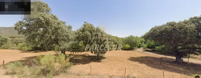 ZONA BELMEZ- Se vende finca agrícola de 39.000 m en total. — 2