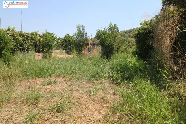 TERRENO DE 2 HANEGADAS ENTRE PETRES Y ALBALAT TARONGERS — 14