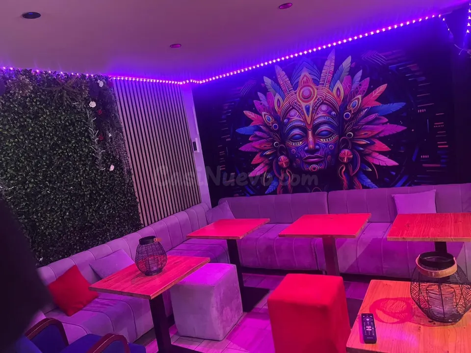Bar 1 habitación 100m² en alquiler - Marbella