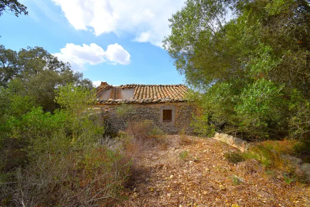 Finca rústica con posibilidad de vivienda en Llubi — 11