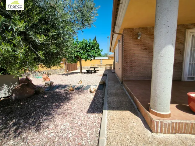 EN LA HUERTA de Cabezo de Torres — 6