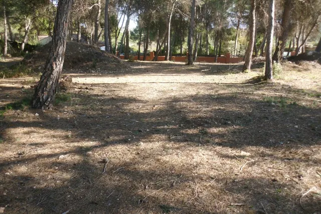 Terreno en Garrofer de L'Hora - Ontinyent — 4