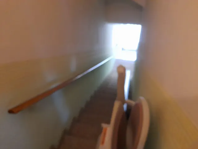 OPORTUNIDA GRAN CASA DE PUEBLO CON VIVIENDA UNIFAMILIAR Y NAV ES ANEXAS — 30