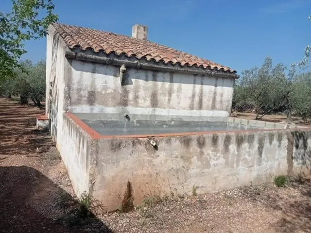 Fantástica finca con casa en la Miliana — 5