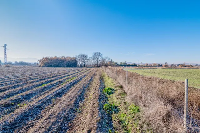 Excelente finca de regadío en la Vega de Granada, con acceso directo — 22