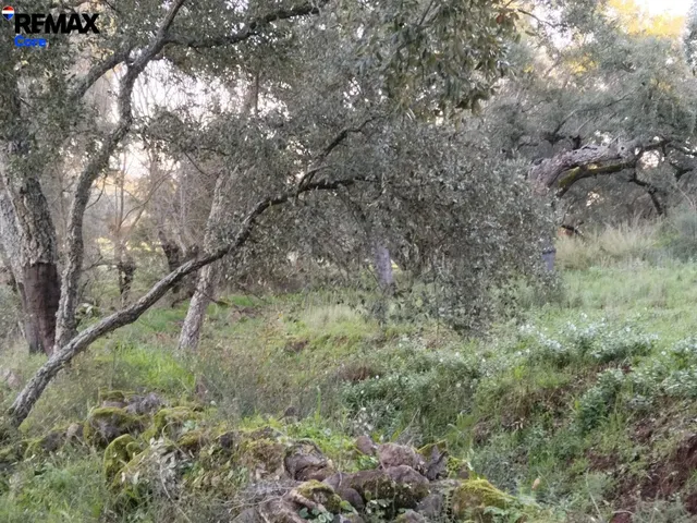 Dehesa Extremeña en Jerez de los Caballeros - foto 2