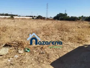 PARCELA EN VENTA EN LA RUANA ALTA - foto 5
