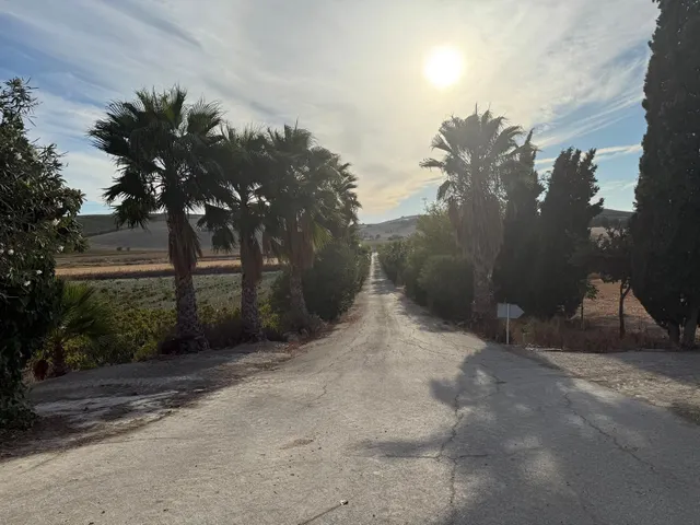 Viñedo de 24,40ha 1300m2 naves y 400m2 restaurante — 9