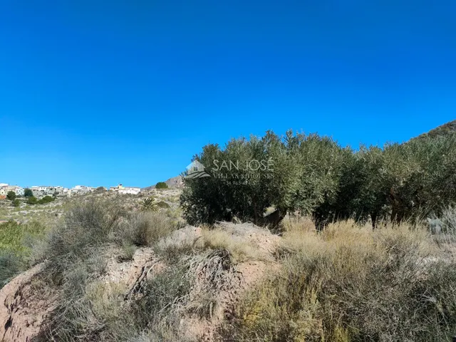 SE VENDE PARCELAMUY CERCA DEL PUEBLO DE MACISVENDA — 19