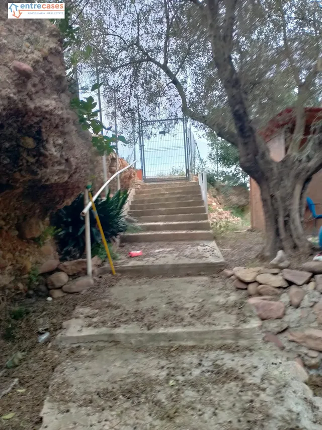 CONJUNTO DE PARCELAS EN PETRÉS — 6
