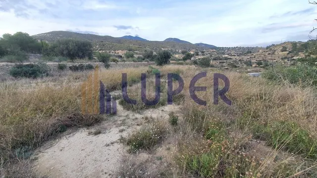 Terreno rústico en Aguas de Busot, Partida de la Carrasca. - foto 2
