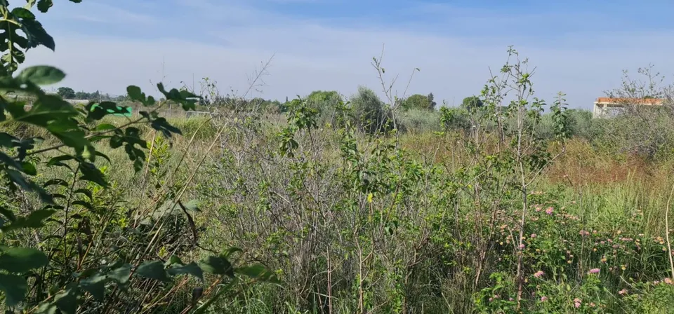 ++Terreno no urbano en Molina de Segura zona El Paraje++, 500 m.