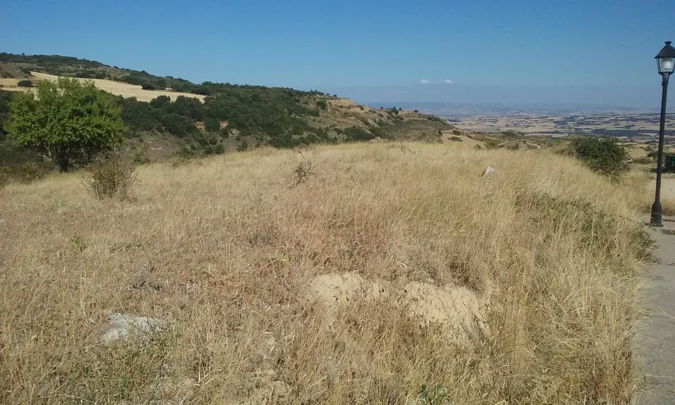 Parcelas urbanizadas en Arellano
