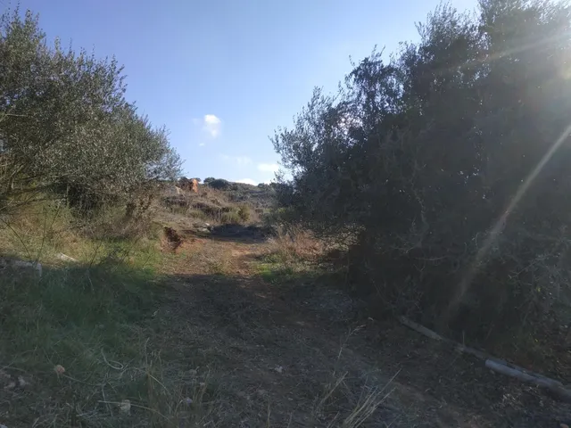 Terrenos urbano en Periana — 4
