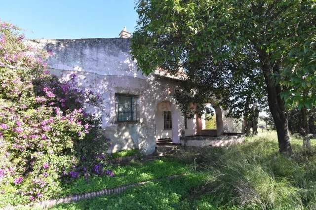 Inversión Ideal en El Pedroso: Terreno Rural con Potencial - foto 5