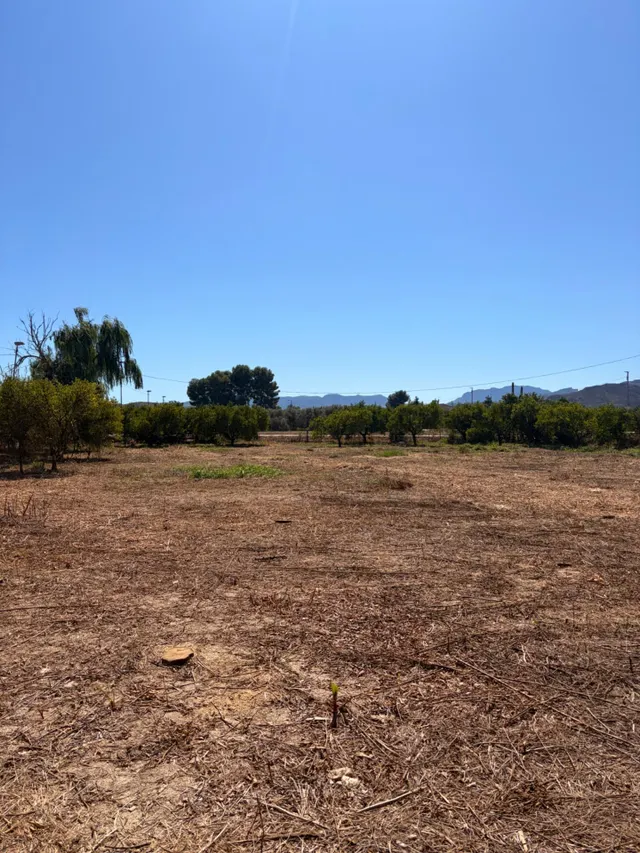 Se vende bonita parcela edificable en Zeneta (Alquerías) — 15