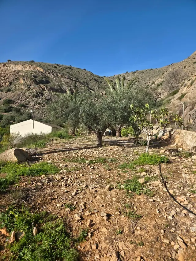 Casa con Piscina Privada y Amplias Posibilidades de Ampliación en Orihuela — 46