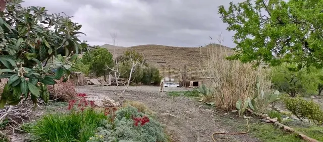 Finca agrícola y ganadera de 25.000 m2 con pozo propio, placas solares y plantación en producción en Gérgal — 9