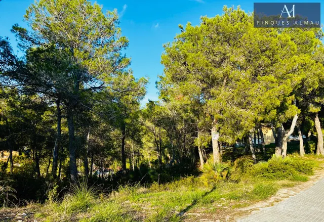 Terreno urbanizable de 655 m2 en la Avenida California de Canyelles, la oportunidad perfecta para construir tu casa ideal. — 7