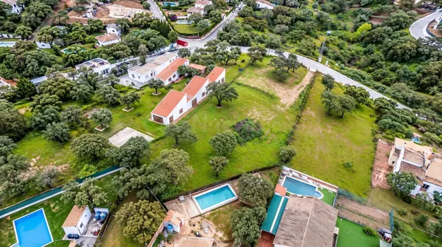 PARCELA URBANA DE 3.000 m2 EN LAS PAJANOSAS – CALLE ROMA - foto 5