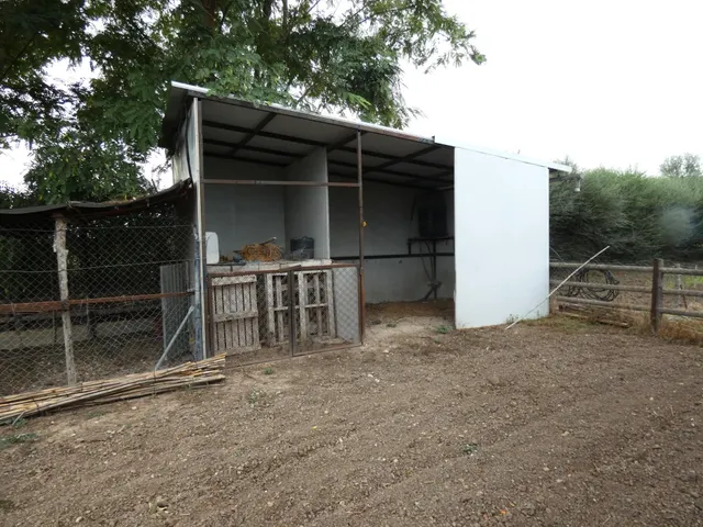 +Oportunidad Única: Casa para Reformar en Entorno Rural y Ecológico+ — 13