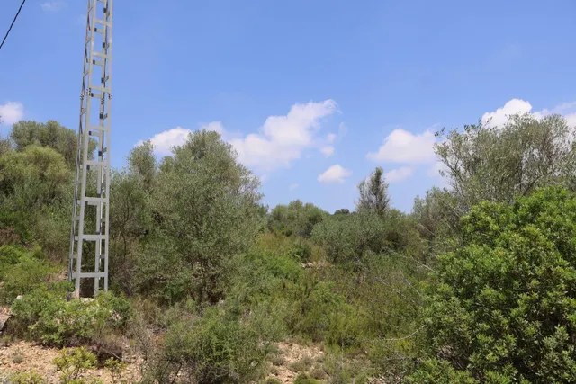 MASIA RUSTICA EN DOS HECTAREAS DE TERRENO ZONA POU DE BECA — 40