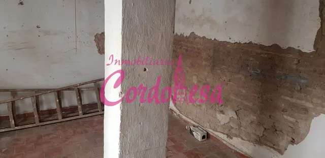 CASA JUNTO A LA CATEDRAL — 10