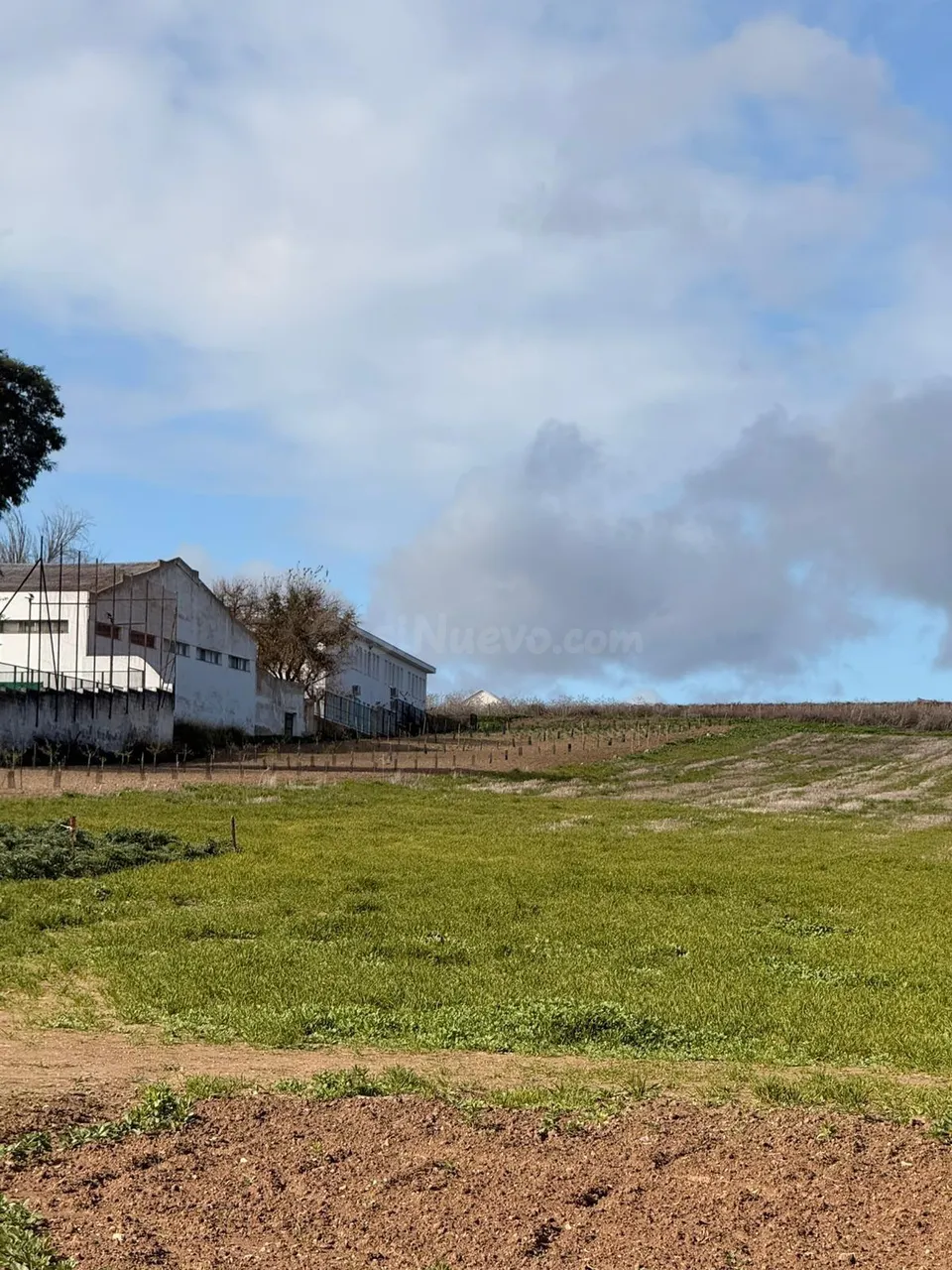 VENTA DE SUELO EN TREBUJENA