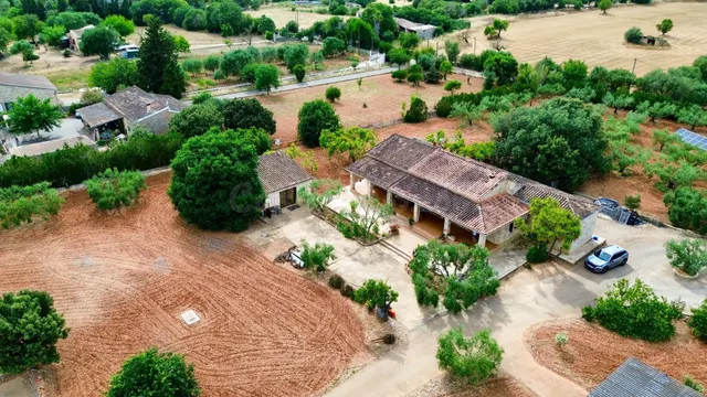 El placer de vivir en paz: acogedora finca rústica en Inca - foto 2