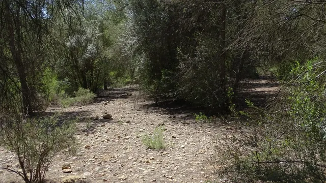 Terreno en venta en Vilamarxant — 21