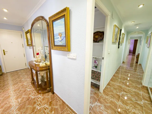 ¿Y si tu próxima casa estuviera en el corazón de Elche… y pudieras adaptarla a tu manera? ✨ — 13