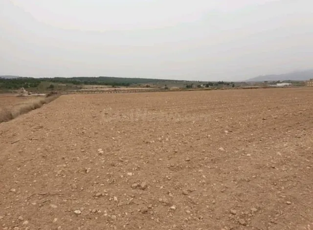 Parcela 840m² en venta - Comunidad valenciana - foto 4