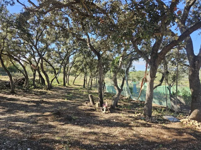 Terreno para recreo vallado y con acceso por camino asfaltad - foto 3