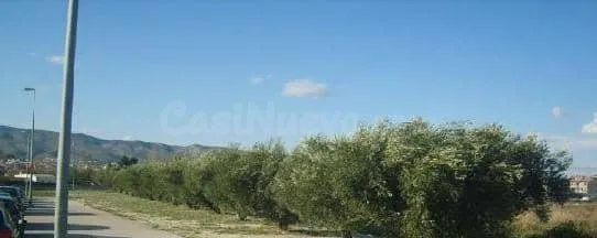 Terreno Rústico 2883m² en venta - El Llombo