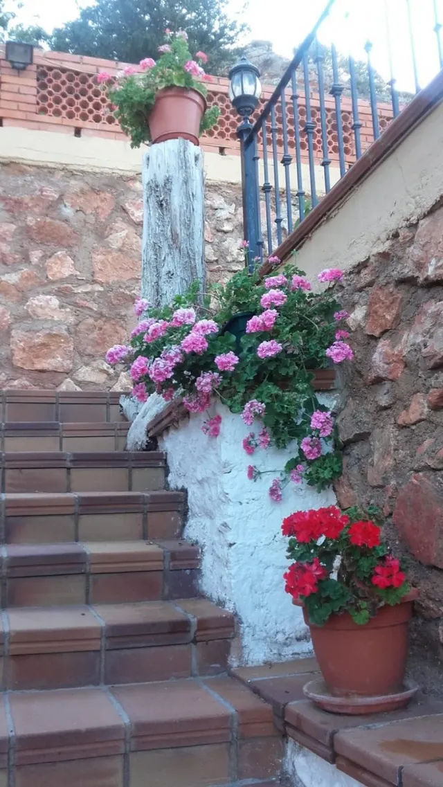 Excelente chalet, con piscina, jardín y con unas vistas espe - foto 5