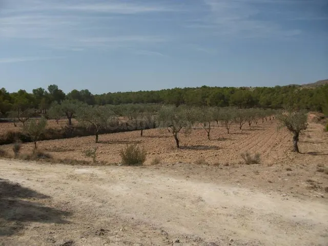 TERRENO EN SAX - foto 3