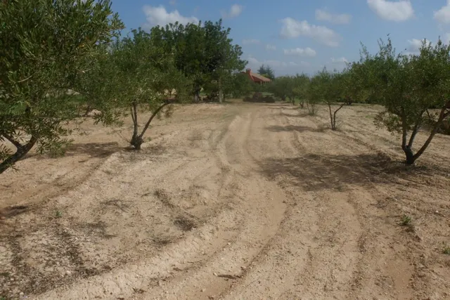 Terreno en Camí Les Boles - Ontinyent — 3