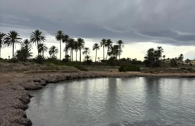 MAGNIFICO PISO A UNOS PASOS DE LA PLAYA, IDEAL PARA VIVIR TODO EL AÑO — 36