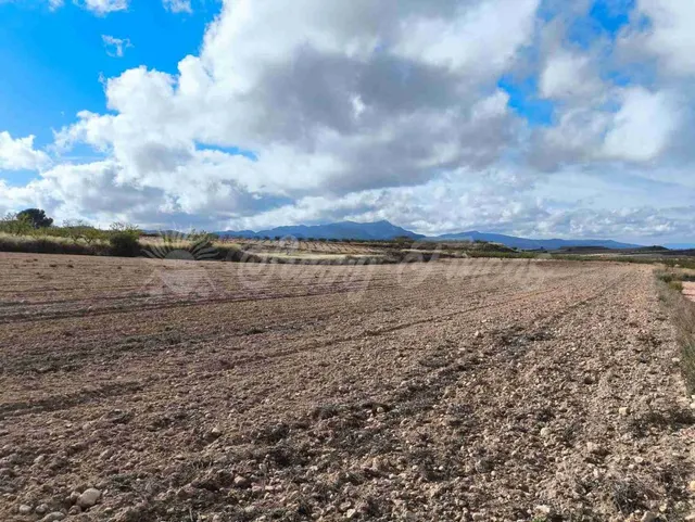 Suelo rústico en Venta en Jumilla Murcia — 8