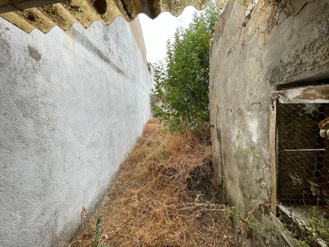 CASA DE PLANTA BAJA EN ARROYO DE LA LUZ - foto 3