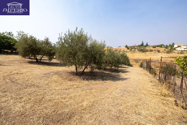 Encanto rústico con casita y olivos en Moraleja de Zafayona 🌿 — 38