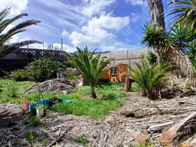 Casa con finca en Buenavista del norte — 9