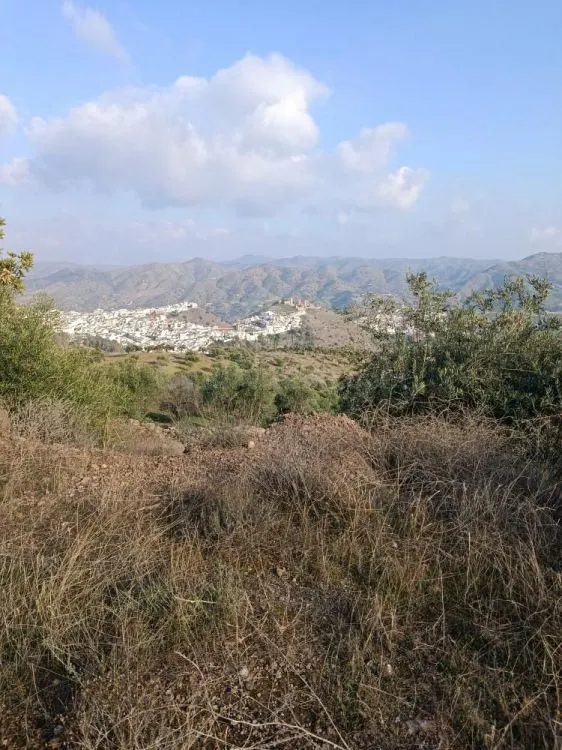 Parcela en venta - Alora pueblo — 2