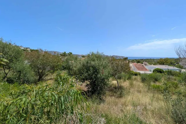 Parcela en venta - La Viña - Montemar - San Jaime — 2