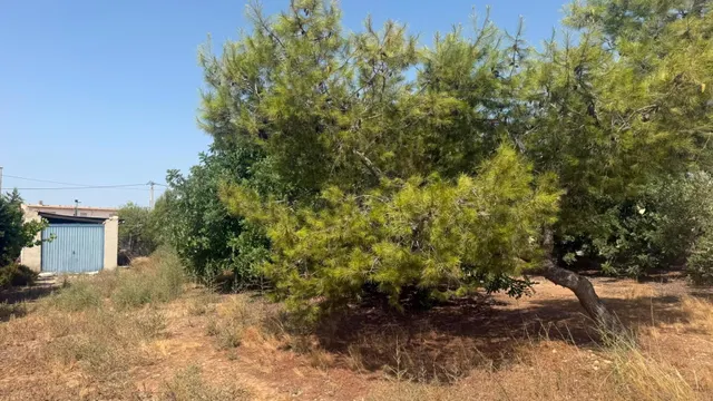CASA DE CAMPO EN CORVERA CON 5.400 M2 DE PARCELA — 20