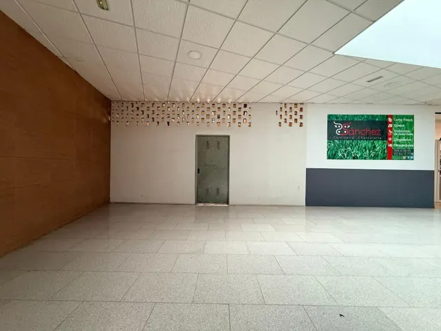 ¡Gran Oportunidad en el Centro de Láchar! Local comercial con muchas posibilidades (Ideal negocio o conversión a Loft de diseño) — 8