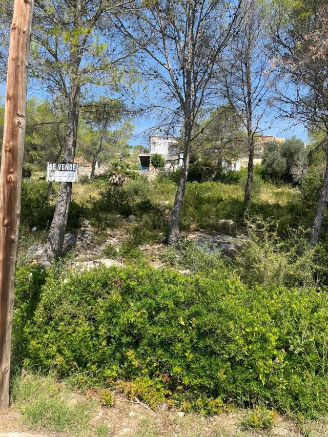 Terreno urbano en venta en Av. d´Olesa de Bonesvalls - foto 2