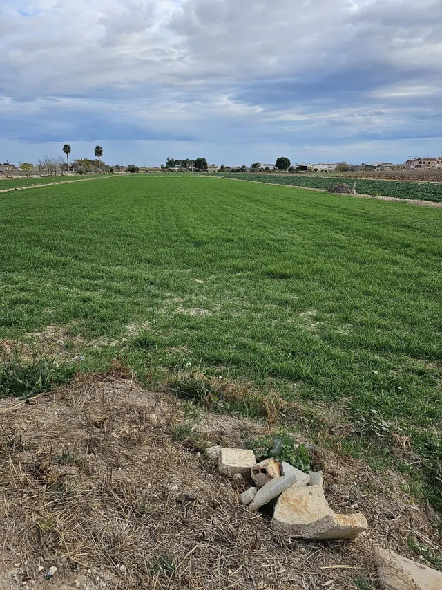 parcela rústica agraria de 7500m2 en Dolores - foto 2