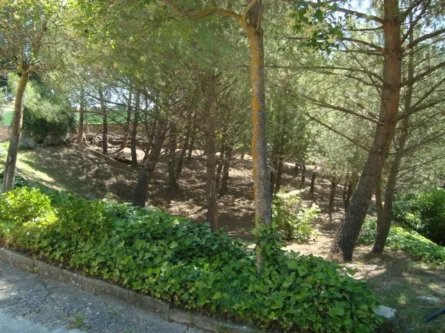 Parcela urbana de esquina en el centro de Loranca de Tajuña — 2