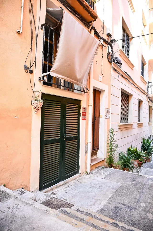 Planta baja 3 habitaciones 63m² en venta - Foners — 16